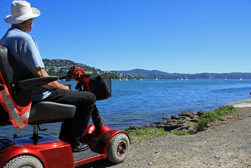 Mobility on the Great Harbour Way